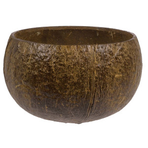 FET verre en forme de coconut authentique