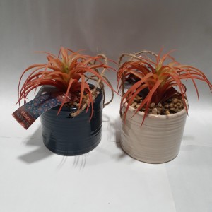 DEC plante artificielle