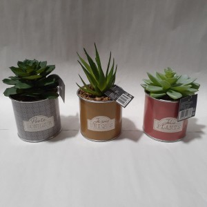DEC plante pot message (jolie plante)