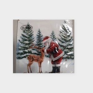 FET Napkins Winter Team