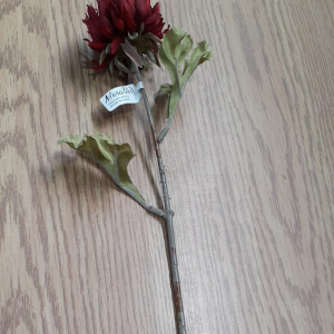 XMS tige de chrysanthème canterbury 3 po x 17 po bourgogne