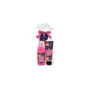 PHA savon mains 300 ml et crème mains 100 ml