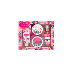 PHA savon a main 300ml et creme mains 100ml