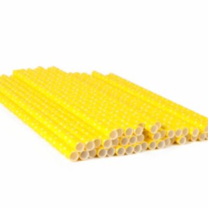 CUI 2 pailles jaunes en papier