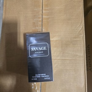 PHA parfum savage pour homme 100ml