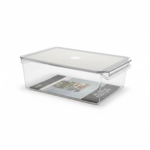 PLA organisateur frigo poignee encastree 29.5x20.5x10cm