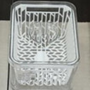 PLA 19*14.5*9.5cm récipient alimentaire