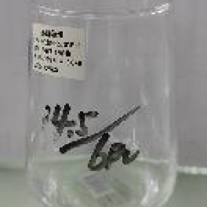 VAI verre en vitre 6.5x5.7x11.6cm
