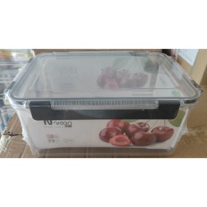 PLA contenant alimentaire en plastique 25.5*18*11