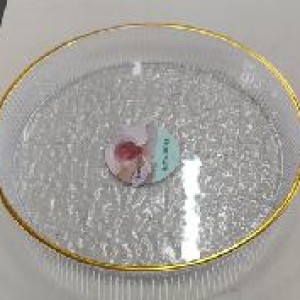 CUI assiette ronde en plastique transparent avec bord doré 2