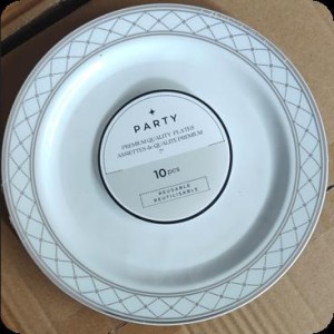 CUI 7"10pcs assiettes rondes en plastique, blanc avec argent