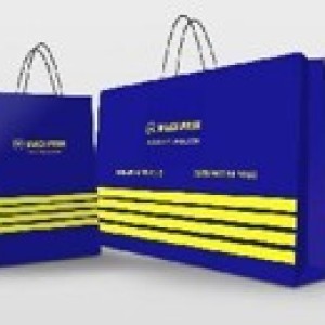 ACC sac de magasinage magi-prix 25x31x10cm