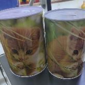 JOU banque chat 15cm