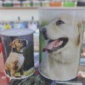 JOU banque photo de chien