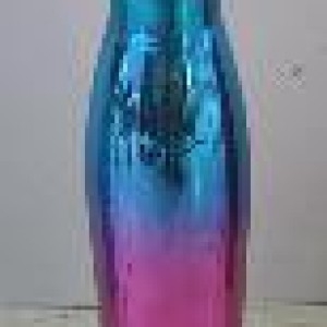 VAI bouteille stainless 500ml