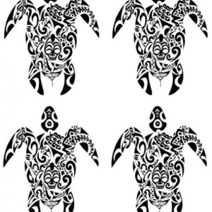 ACC tatoo assortie