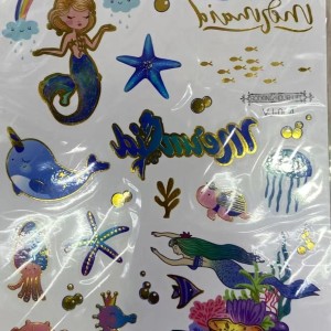 ACC tatoo assortie