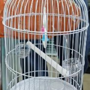 PSH cage à oiseaux 23*50cm blanc