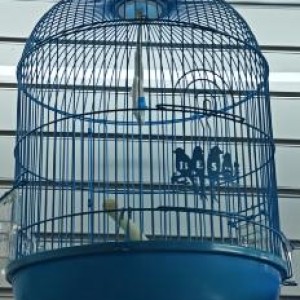 ACC cage à oiseaux 33*53cm blanc/noir