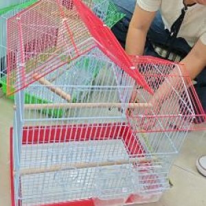 ACC cage à oiseaux 42*30*55cm rouge/vert/bleu