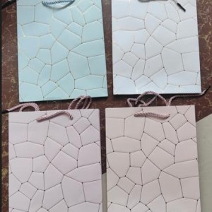 EMB sac cadeau 30 x 12 x 40 cm, 4 couleurs assorties