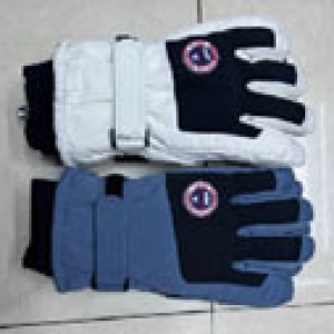 HIV gants de ski pour homme assortis 3 couleurs