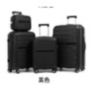 VOY petite valise rigide noir 20 po
