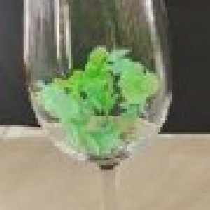 DEC vase en vitre sur pied 10x40cm