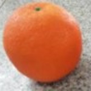 DEC orange artificiel en plastique