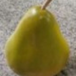 DEC poire artificiel en plastique