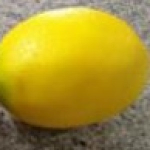 DEC citron artificiel en plastique