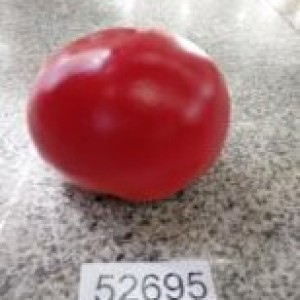 DEC tomate artificiel en plastique