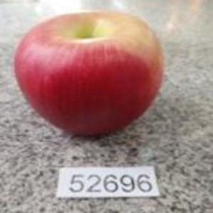 DEC pomme rouge en plastique