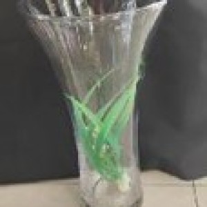 DEC vase en vitre 14.5x30cm