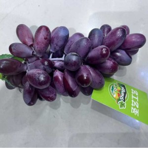 DEC raisin artificiel rouge