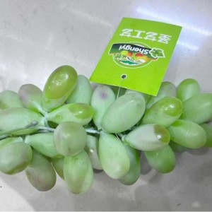DEC raisin artificiel vert