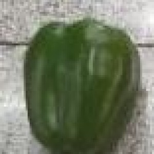 DEC poivron vert artificiel
