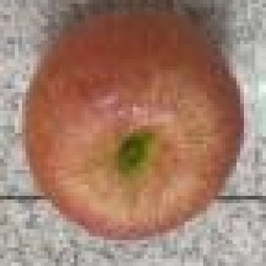 DEC pomme artificielle