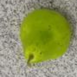DEC poire verte artificielle