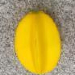DEC carambole artificielle