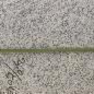 FLE verdure artificiel feuille