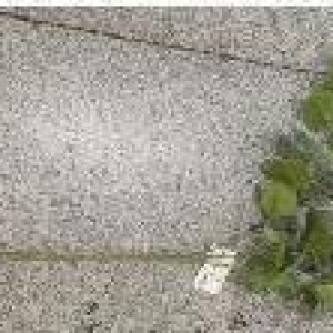 VAI verdure artificiel