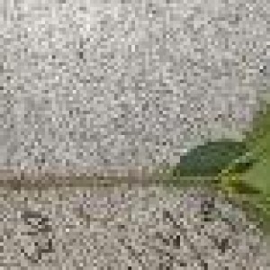 FLE verdure artificiel branche feuille verte