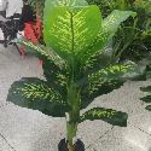 FLE plante artificielle