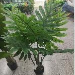 FLE plante artificielle