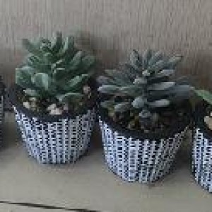 DEC petit plante pot blanc et noir ass.