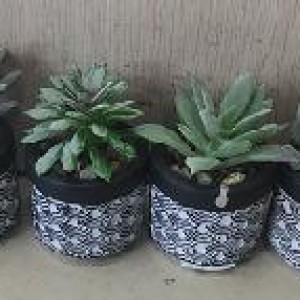 DEC mini pot de plante blanc et noir avec bordure noir