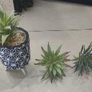 DEC pot de plante sur pied avec etoile blanche