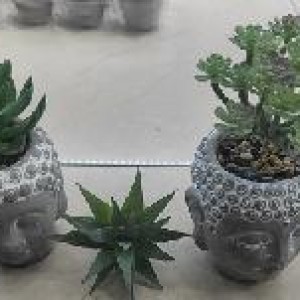 DEC pot de plante avec visage de douddha gris 