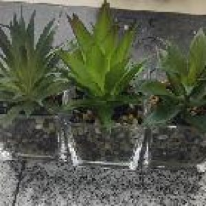 DEC plante artificielle pot en vitre